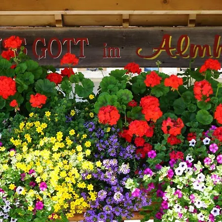 Hotel Almhof 3*
